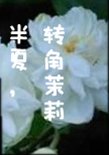 半夏,轉角茉莉