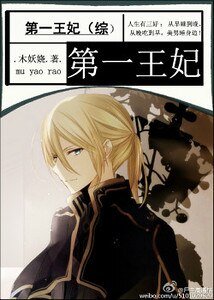 （综漫同人）第一王妃